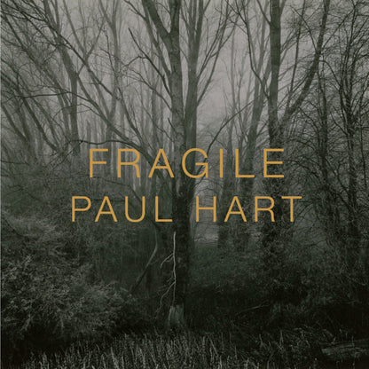 Dewi Lewis Publishing Fragile Photobooks