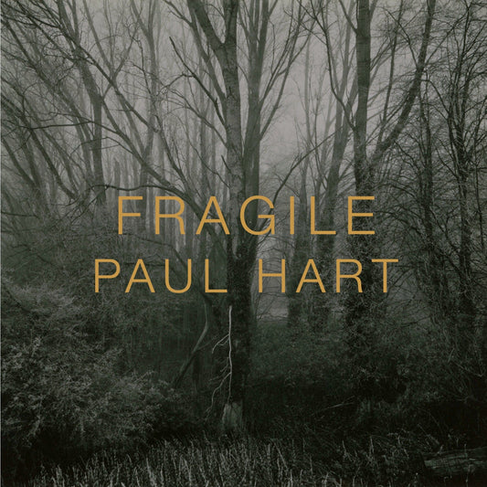 Dewi Lewis Publishing Fragile Photobooks