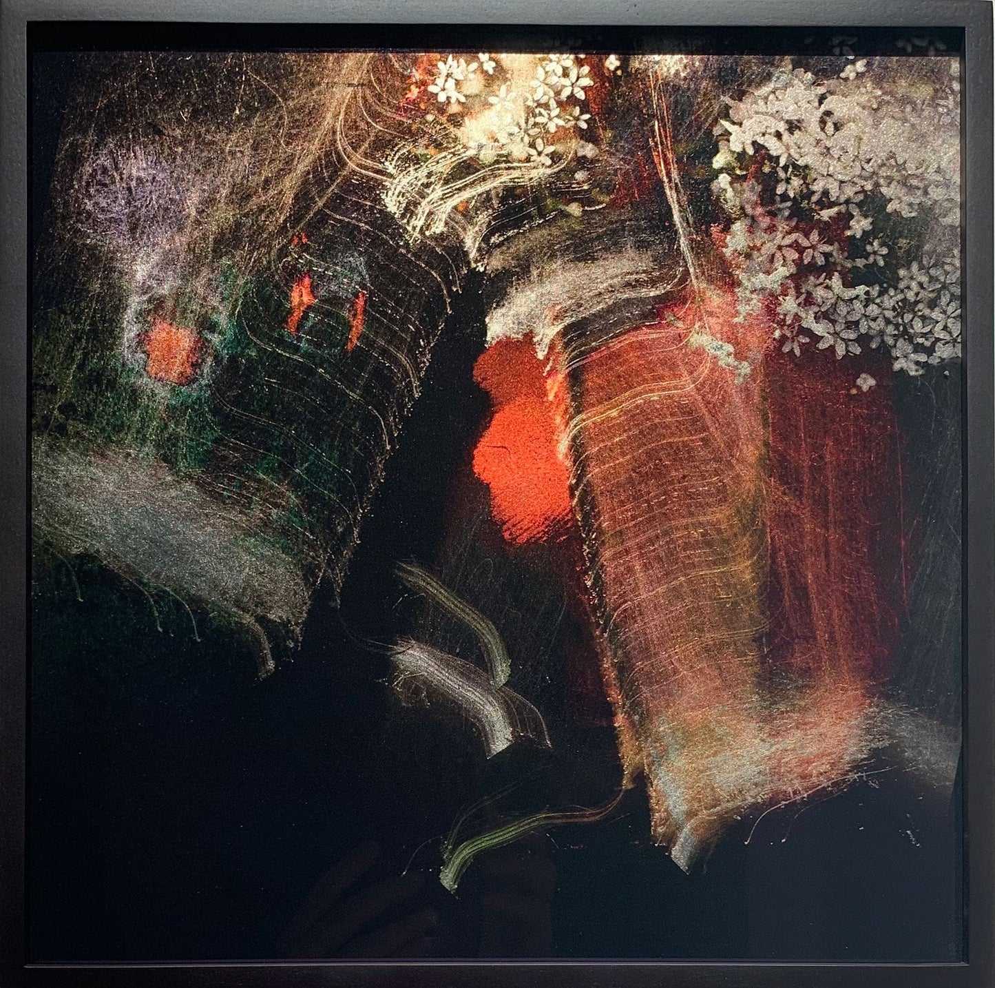 MMX Gallery Eternal Flame (Koi Carp + Blossom) Photograph; Photographic Print on Museum Glass