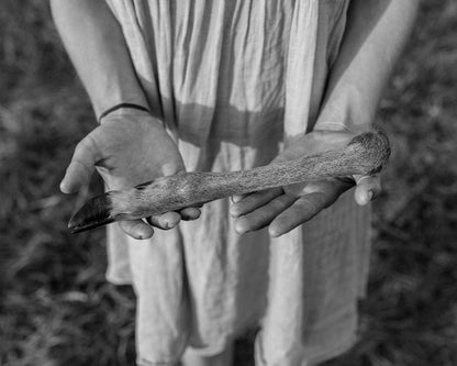 Editorial RM Devil's Rib Photobook