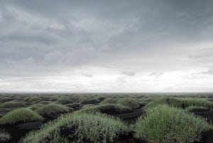 Vision Neil Folberg Gallery Taking Measure (Limited Edition Artist's Book) Photobook