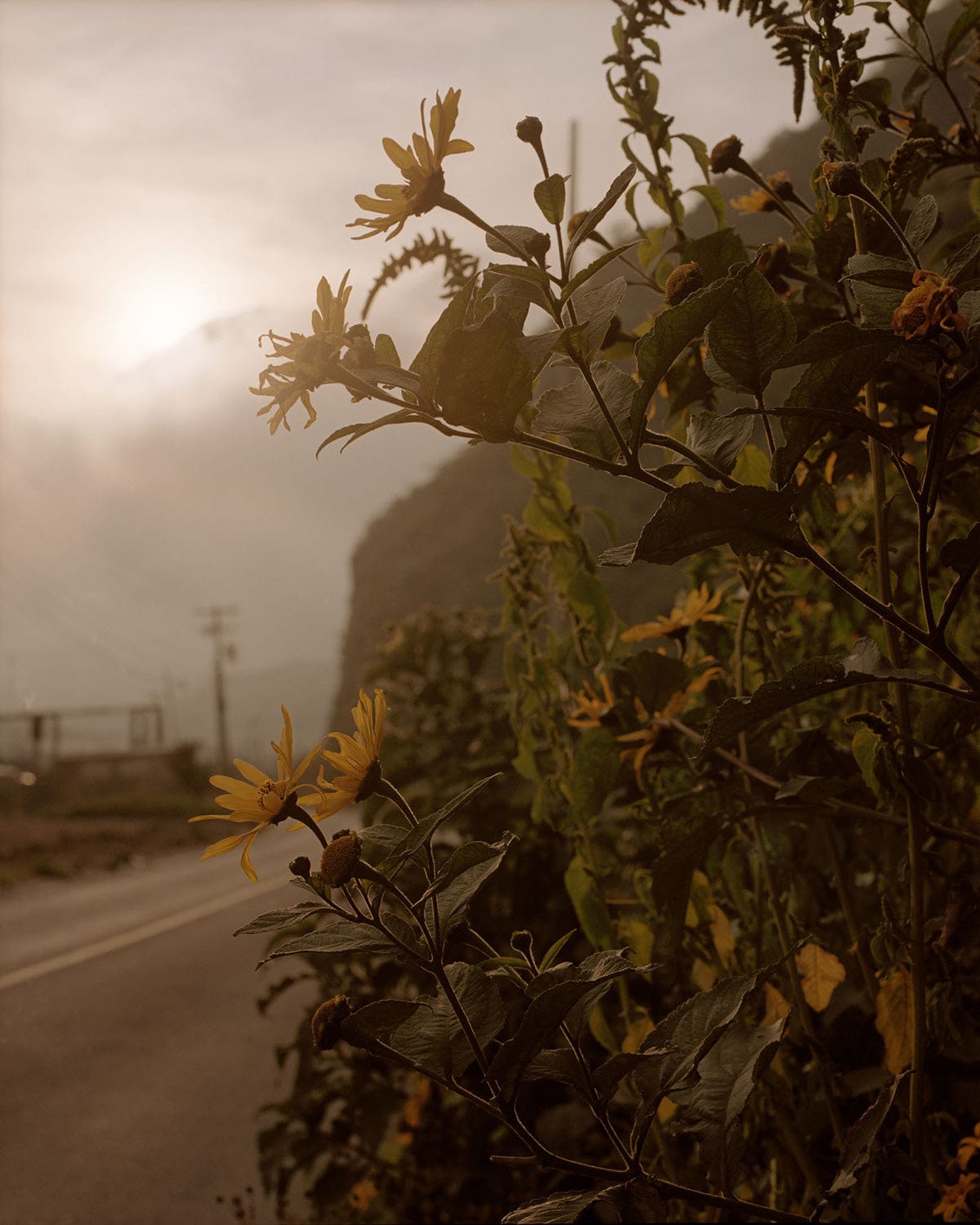 TOBE Gallery GENESIS - Almolonga, Quetzaltenango II Photography