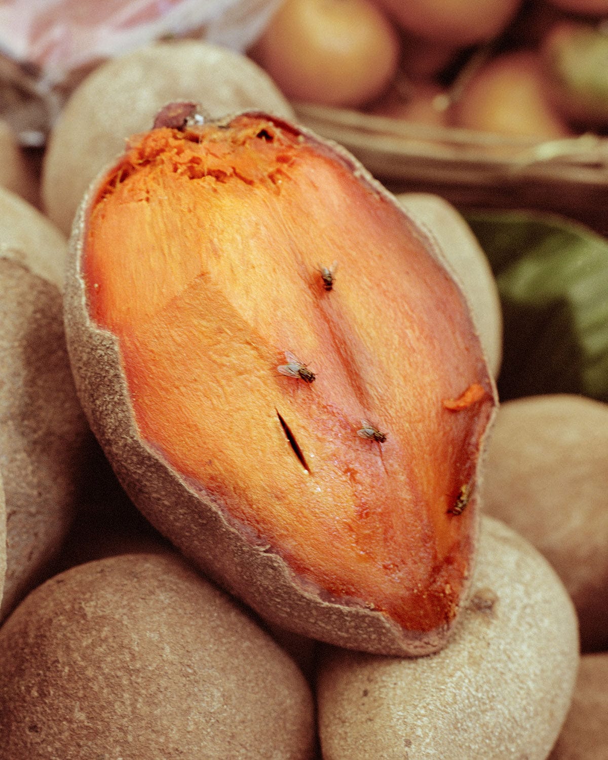 TOBE Gallery GENESIS - Almolonga, Quetzaltenango I Photography