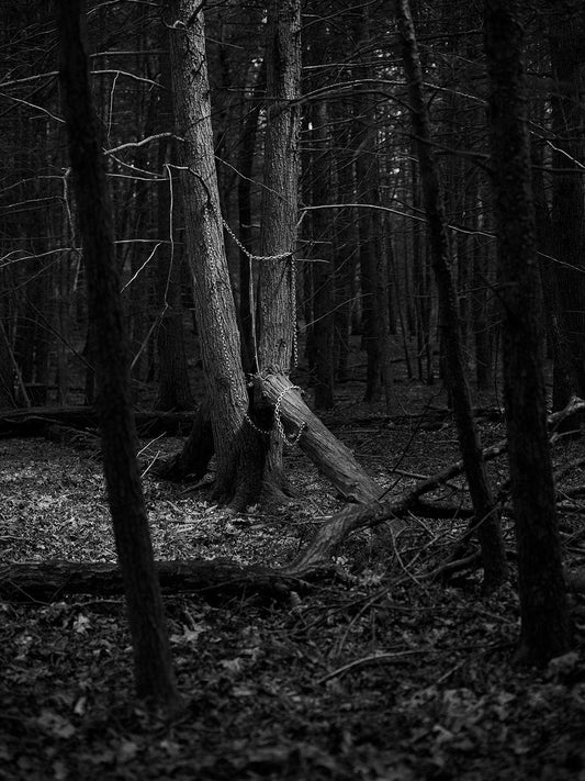 TOBE Gallery CHAIN FOREST - I Am Letting Time Do Its Thing Photography
