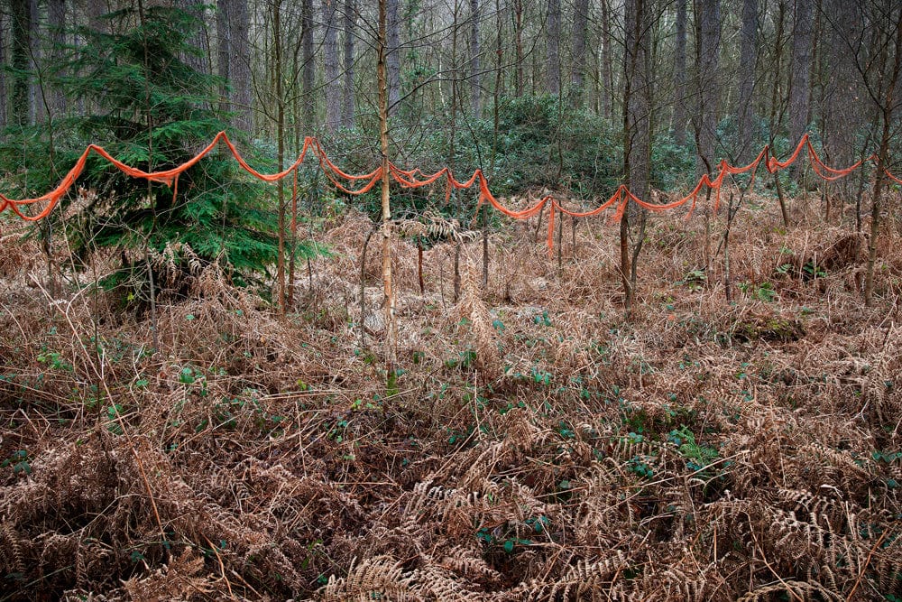 Crane Kalman Brighton Knit One Pearl One 6 Photograph