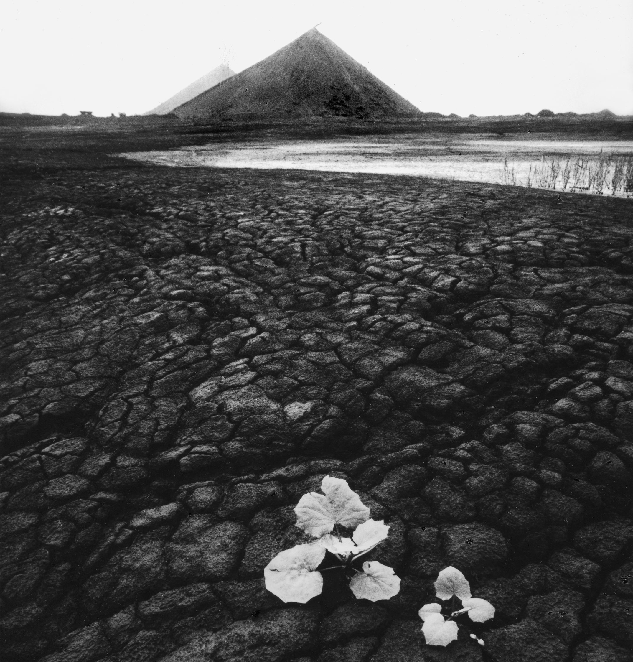 MMX Galéria Slagheaps V. Fénykép