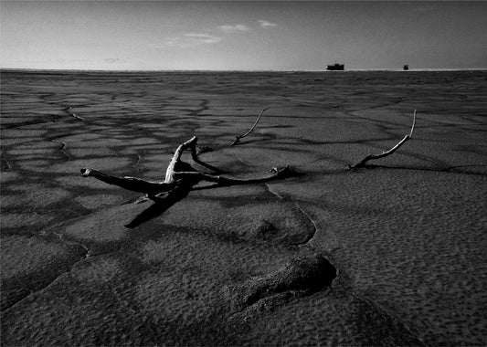 LS10 Gallery The tragedy of Urmia lake, V Photograph