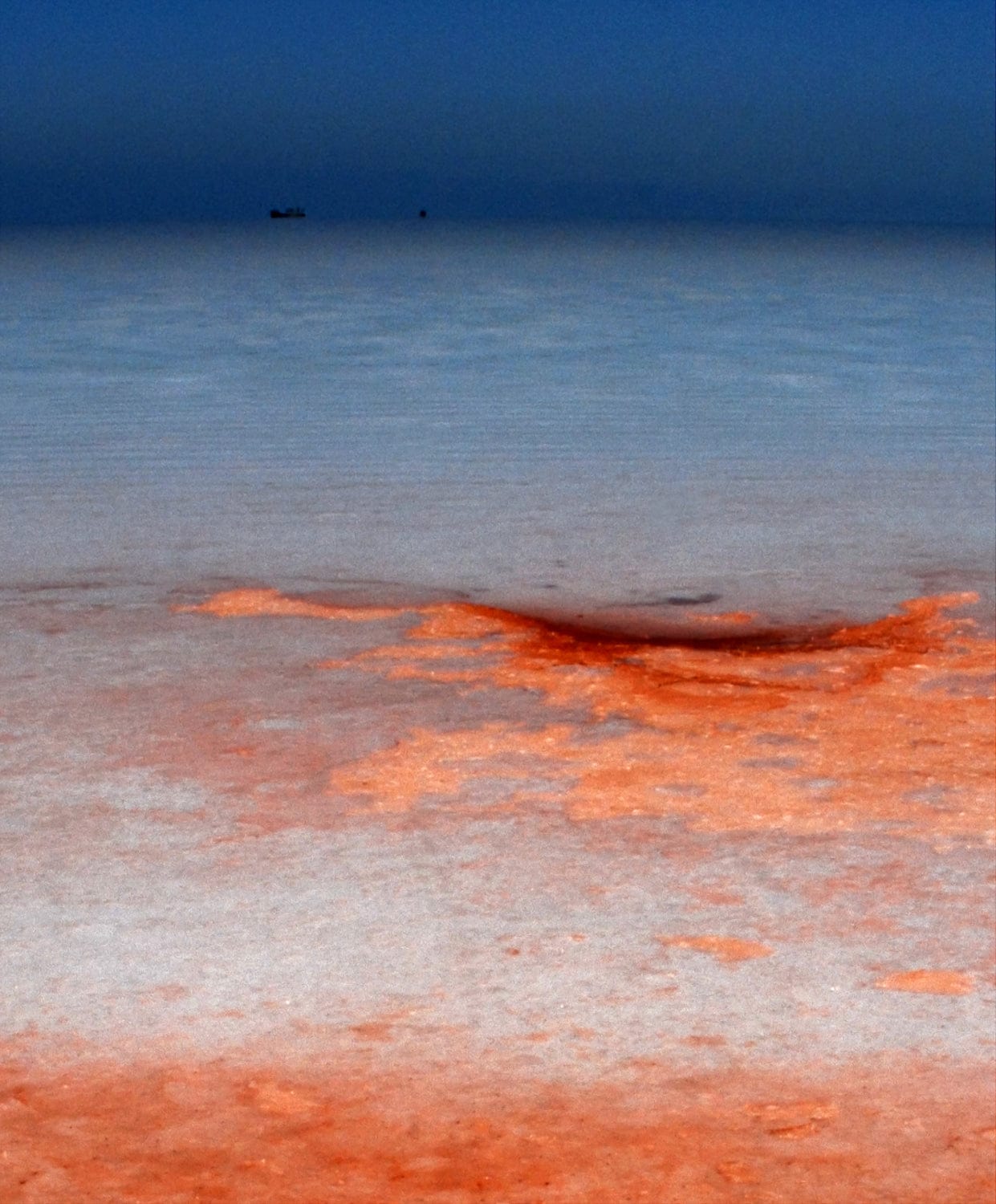 LS10 Gallery The tragedy of Urmia lake, IV Photograph