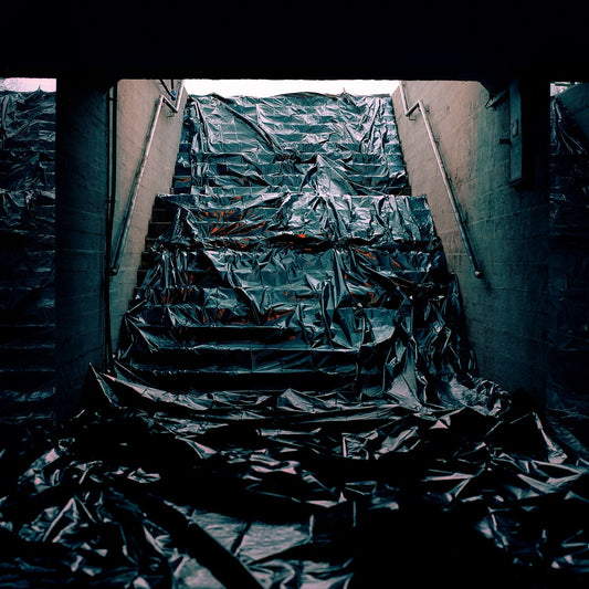 TOBE Gallery ANIMA MUNDI - Untitled IX Photography