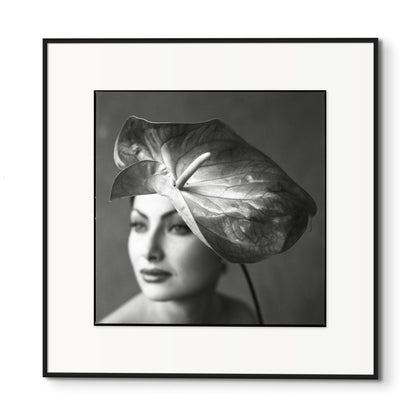 Lightworks Anthurium Beauty Photograph