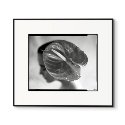 Lightworks Anthurium Hat Photograph