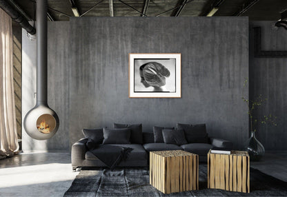 Lightworks Anthurium Hat Photograph