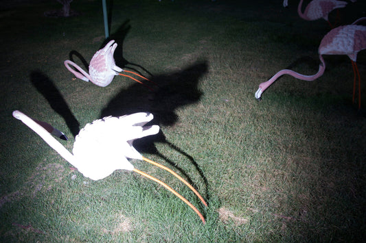 LS10 Gallery untitled I (funfair series) Photograph