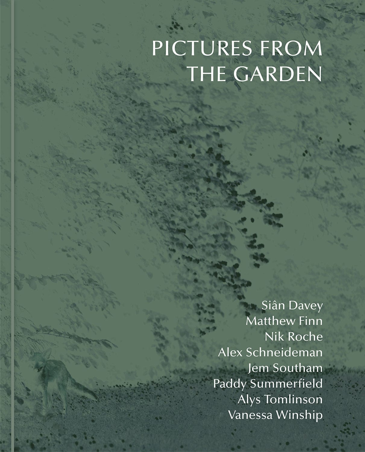 Dewi Lewis Publishing Pictures From The Garden Photobooks