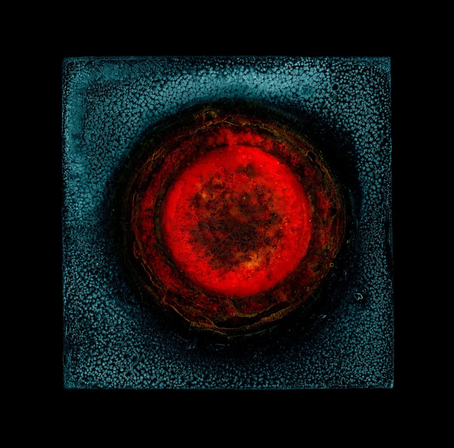 MMX Gallery Iona Sun Photograph