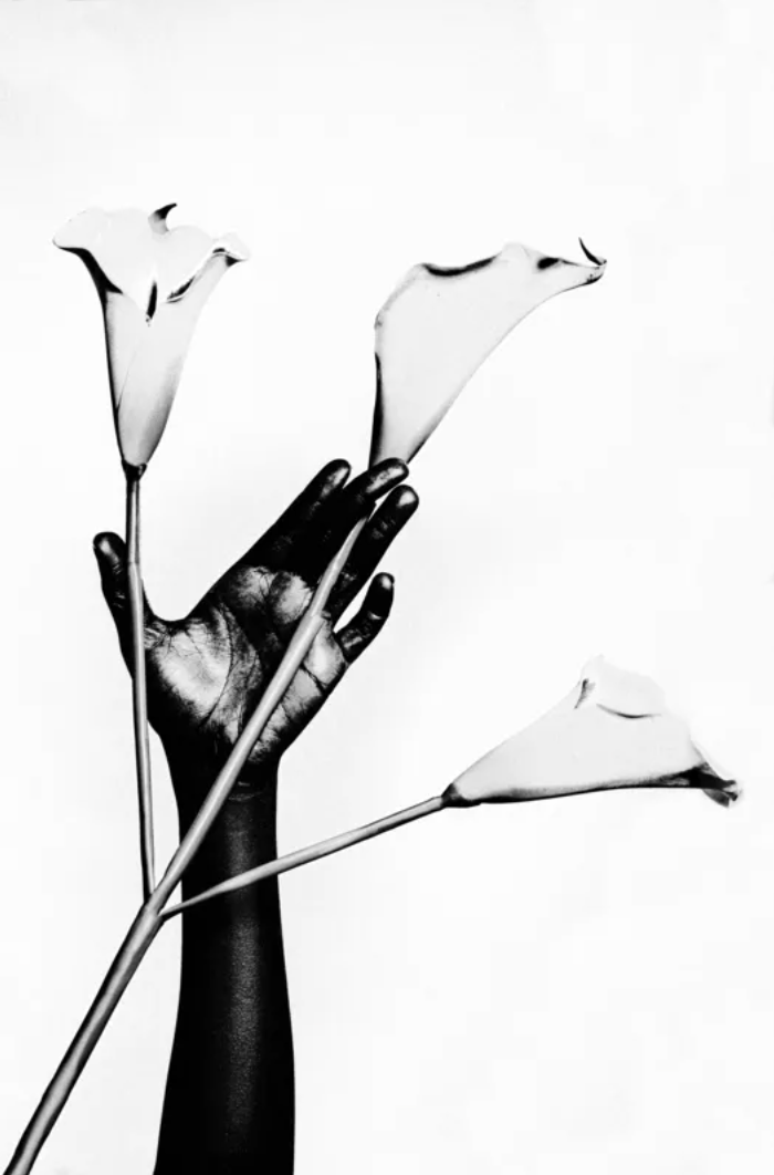 Doyle Wham Romance + Faithfulness II Photograph