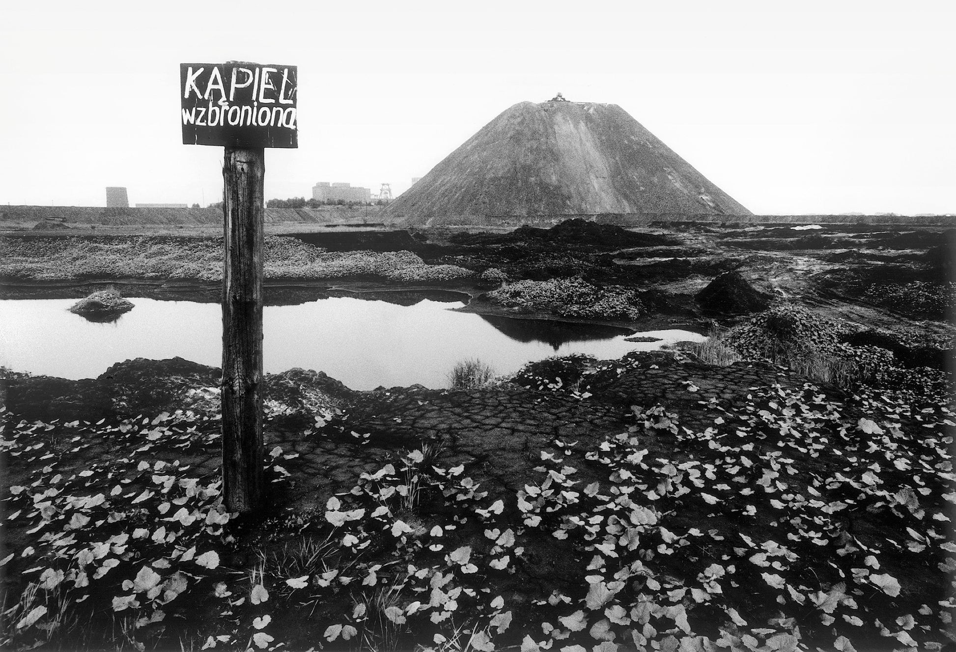 MMX Gallery 'Swimming prohibited', Slagheaps of the 1st May Coalmine, Wodzislaw Slaski, Poland Photograph