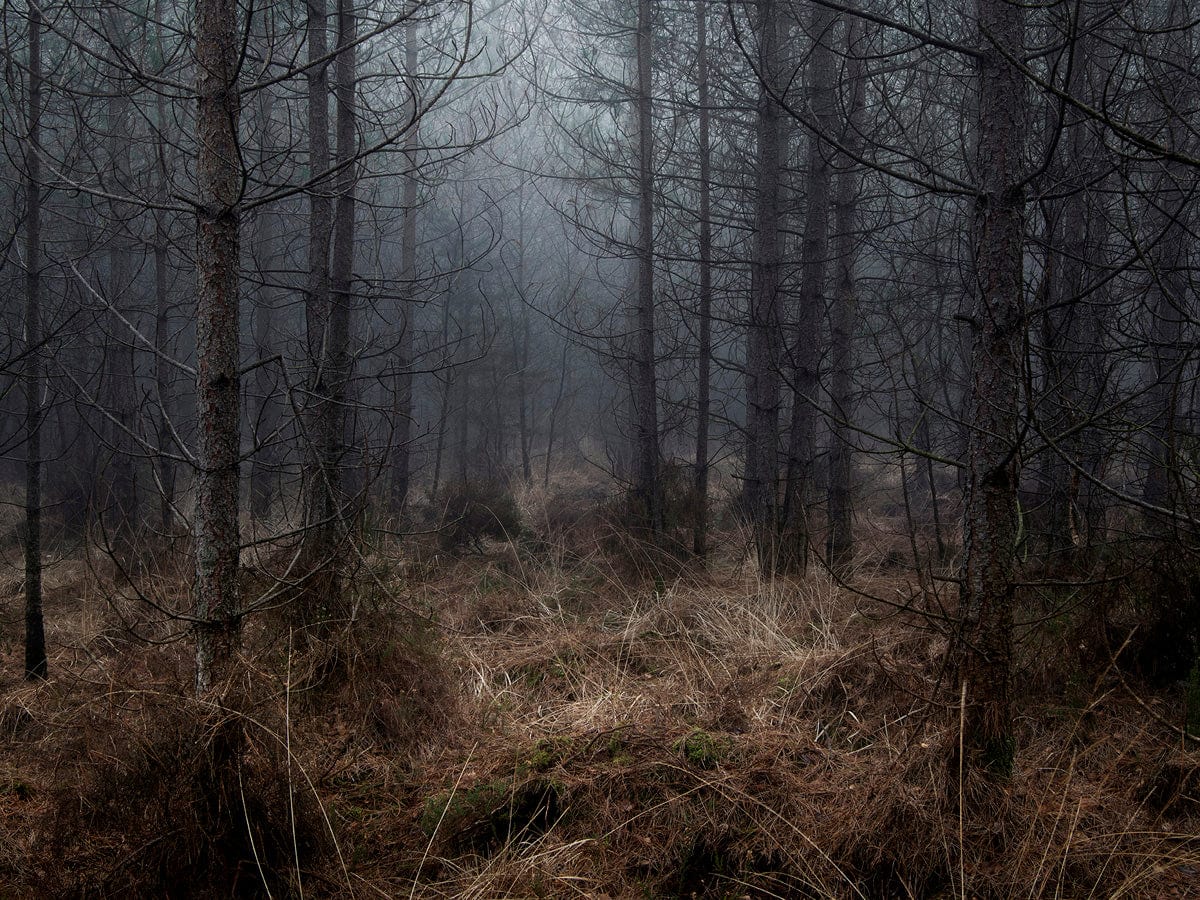 Crane Kalman Brighton Stillness 2 Photograph