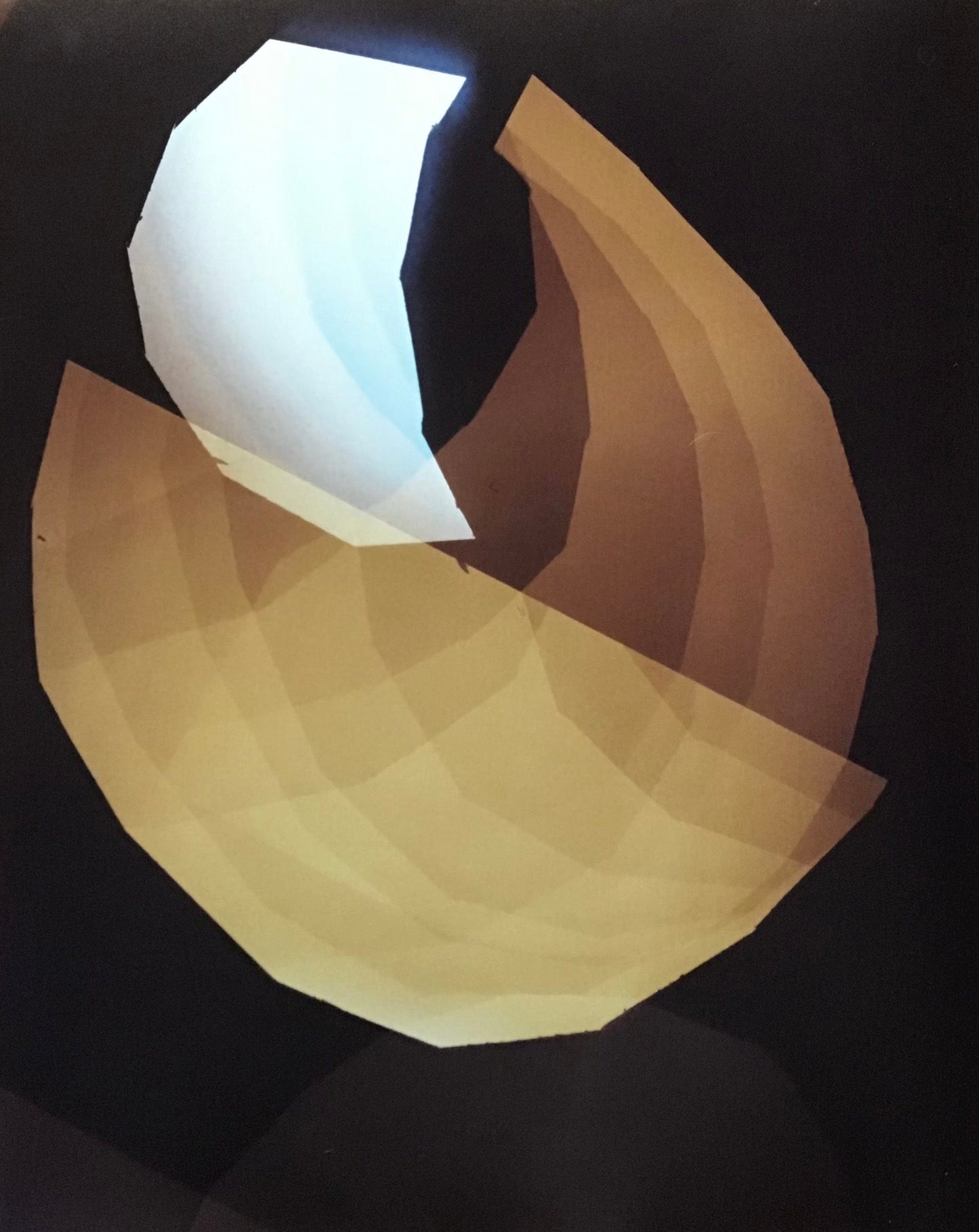 MMX Gallery Study of Two Forms Photograph, Mixed process of camera-less photography; Luminogram and Photogram