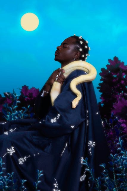 Doyle Wham Tangled Sins I Photograph