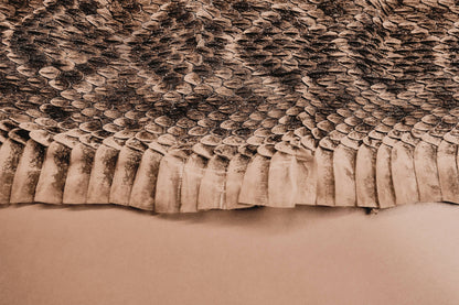 Editorial RM The Serpent’s Trail Photobook