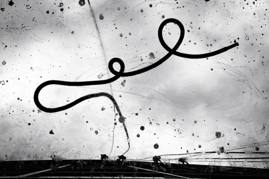 The MF Gallery Window Washers, Seattle, Washington, 2012 Photograph