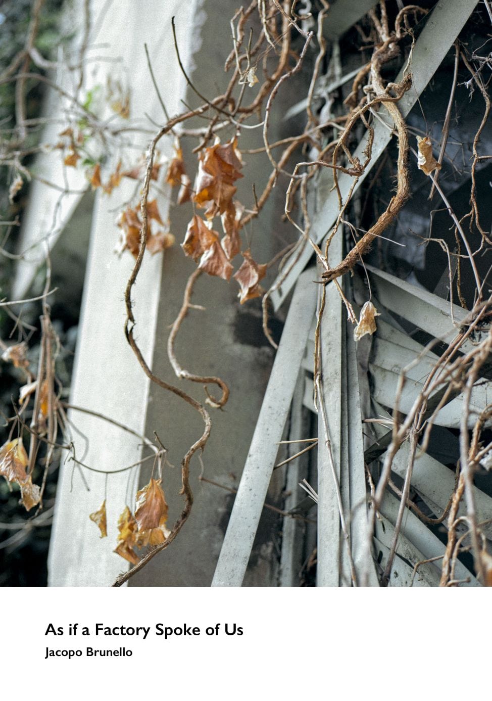 hECTIC bOOKS As if a Factory Spoke of Us Photobook