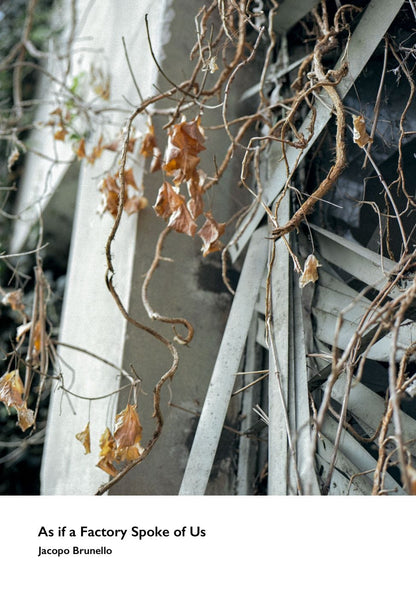 hECTIC bOOKS As if a Factory Spoke of Us Photobook