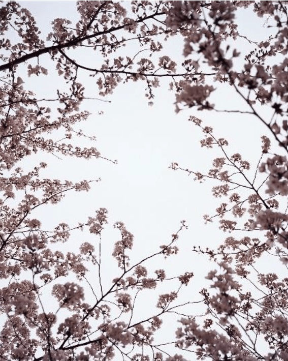 Editorial RM i Photobook