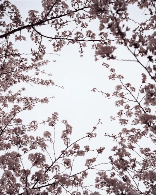 Editorial RM i Photobook