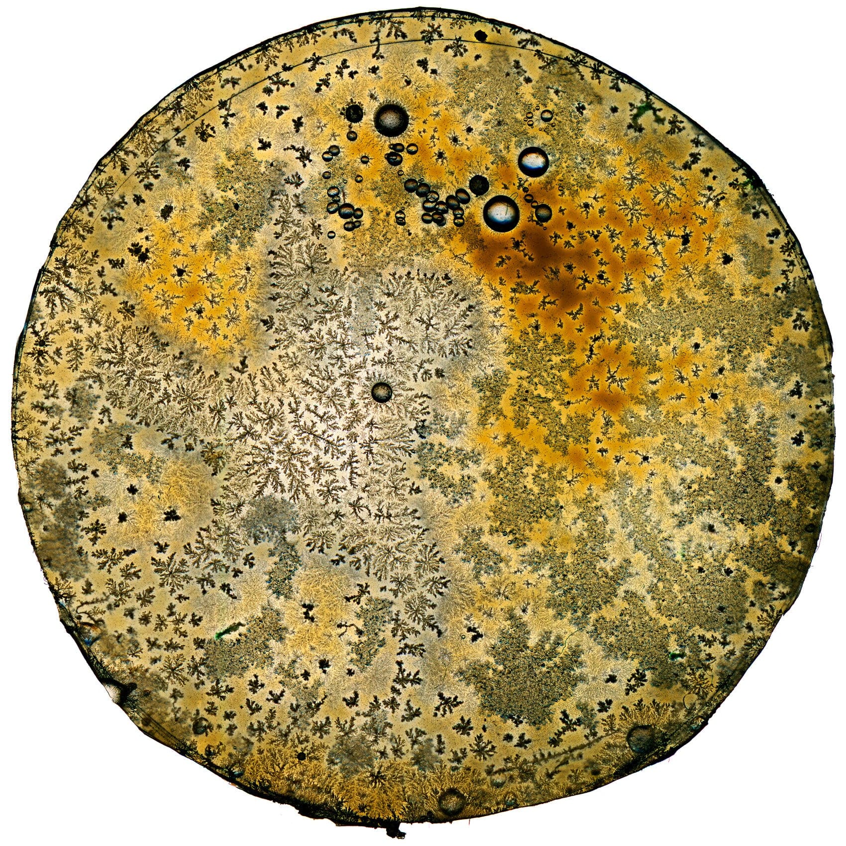 MMX Gallery Mapa Cheswick Photograph