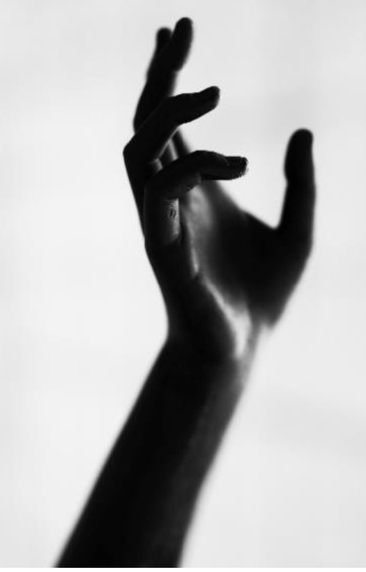 Editorial RM Roma Photobook