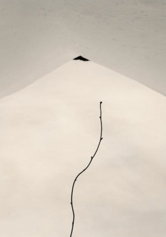 Editorial RM Small Things in Silence (3rd. ed.) Photobook