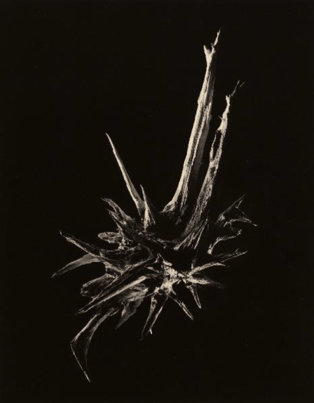 Editorial RM Small Things in Silence (3rd. ed.) Photobook