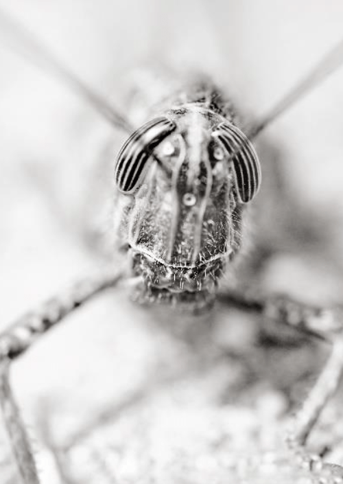 Redactioneel RM Een klein verhaal fotoboek