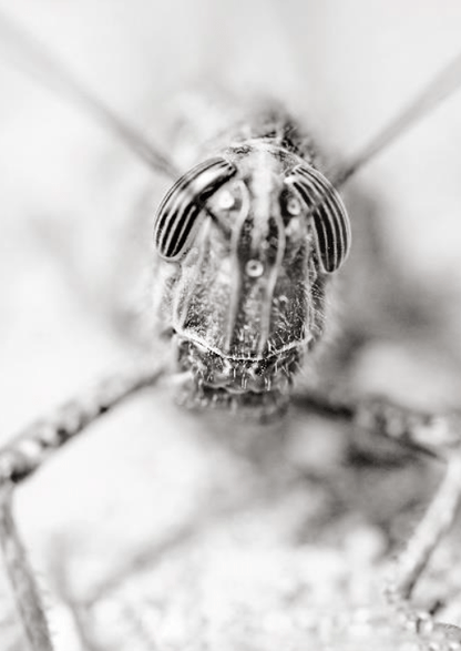 Redactioneel RM Een klein verhaal fotoboek