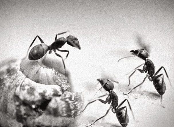 Redactioneel RM Een klein verhaal fotoboek