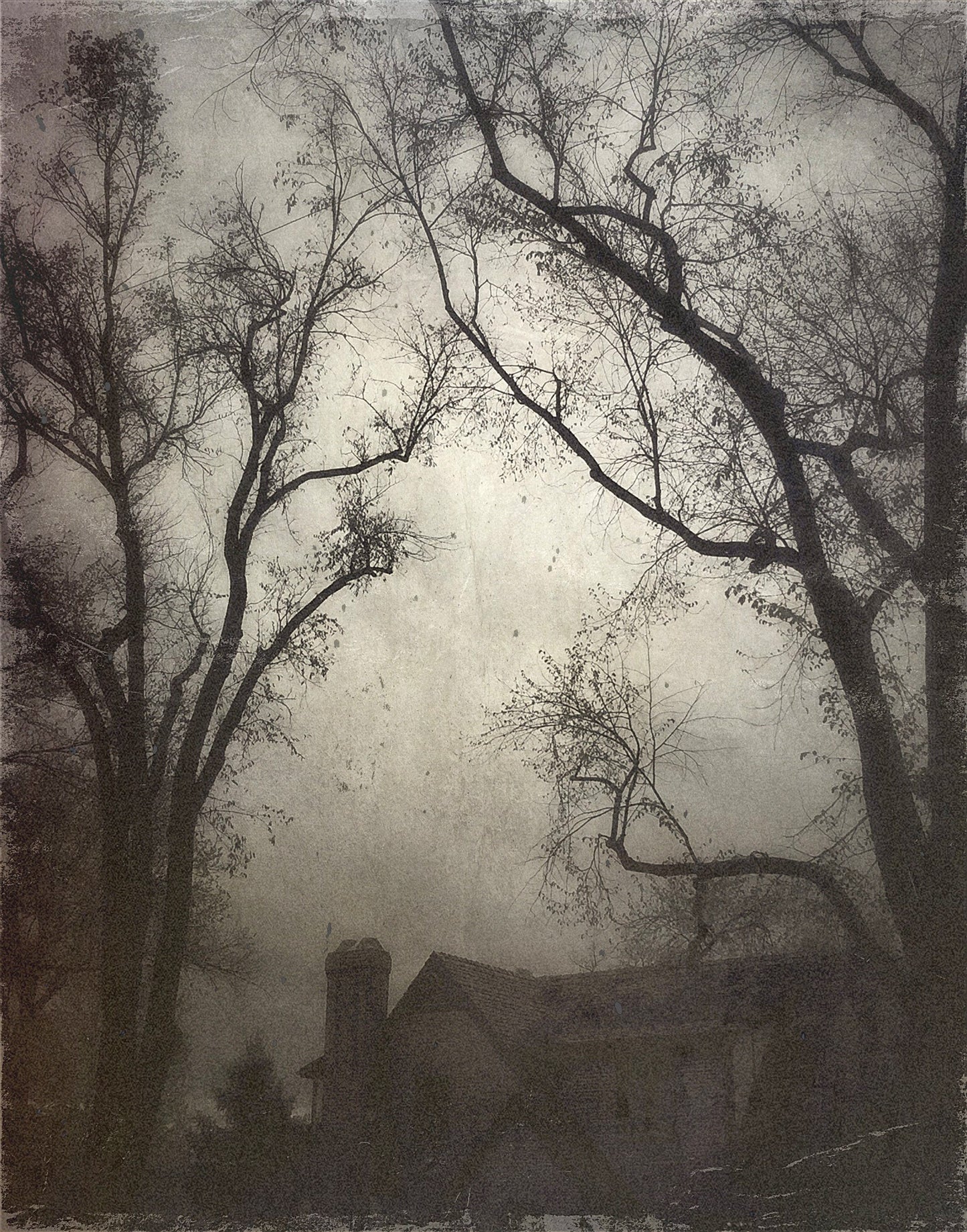 Vision Neil Folberg Gallery Around the corner Photograph